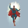 Superman: T-Shirt: All-Star Superman By Frank Quitely