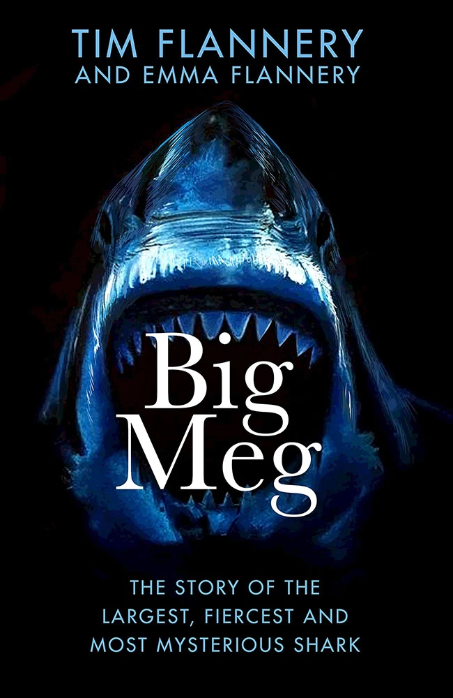 Big Meg: The Story Of The Largest, Fiercest & Most Mysterious Shark (Hardcover) 1 Big Meg: The Story Of The Largest, Fiercest & Most Mysterious Shark (Hardcover)