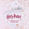 Harry Potter: A Cinematic Gallery: Colouring Book (Hardcover)
