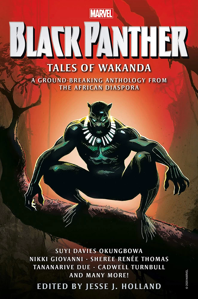 Black Panther: Tales Of Wakanda 1 Black Panther: Tales Of Wakanda