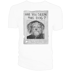 Doctor Who: Flux Collection: T-Shirt: The Halloween Apocalypse