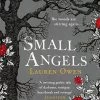 Small Angels (Hardcover)