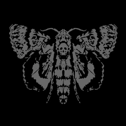 Life Is Strange: T-Shirt: Max's Moth